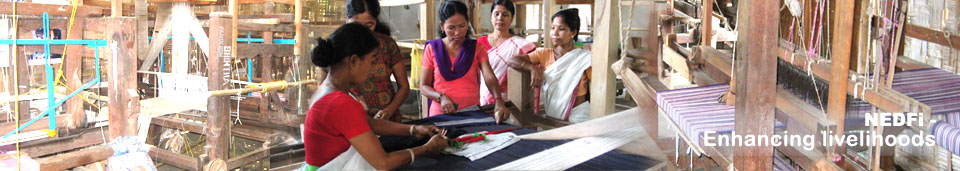 North Eastern Development Finance Corporation Ltd